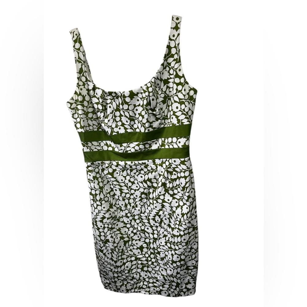 Willow Glenn New York Lined Floral Dress Sz 12